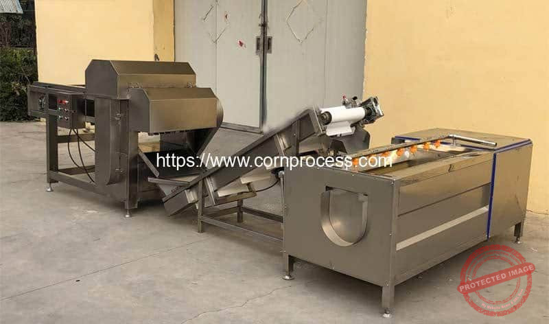 Sweet-Corn-Cob-Cutting-Machine-and-Brush-Washing-Machine-for-Sale